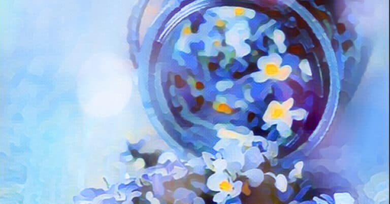 Insights into Egypt’s New Regulations on Pharmaceutical Expiration and Returns