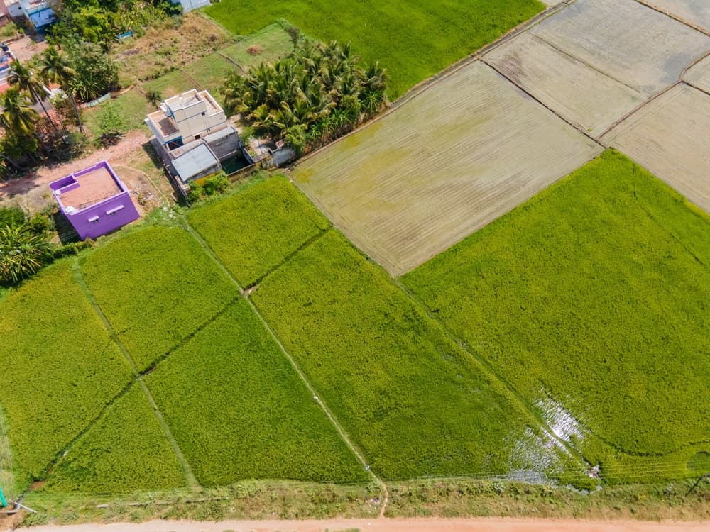 Legal Update – February 2025 – Commercial Housing Projects Developing on Agricultural, Non-Residential Land: A Legal Milestone