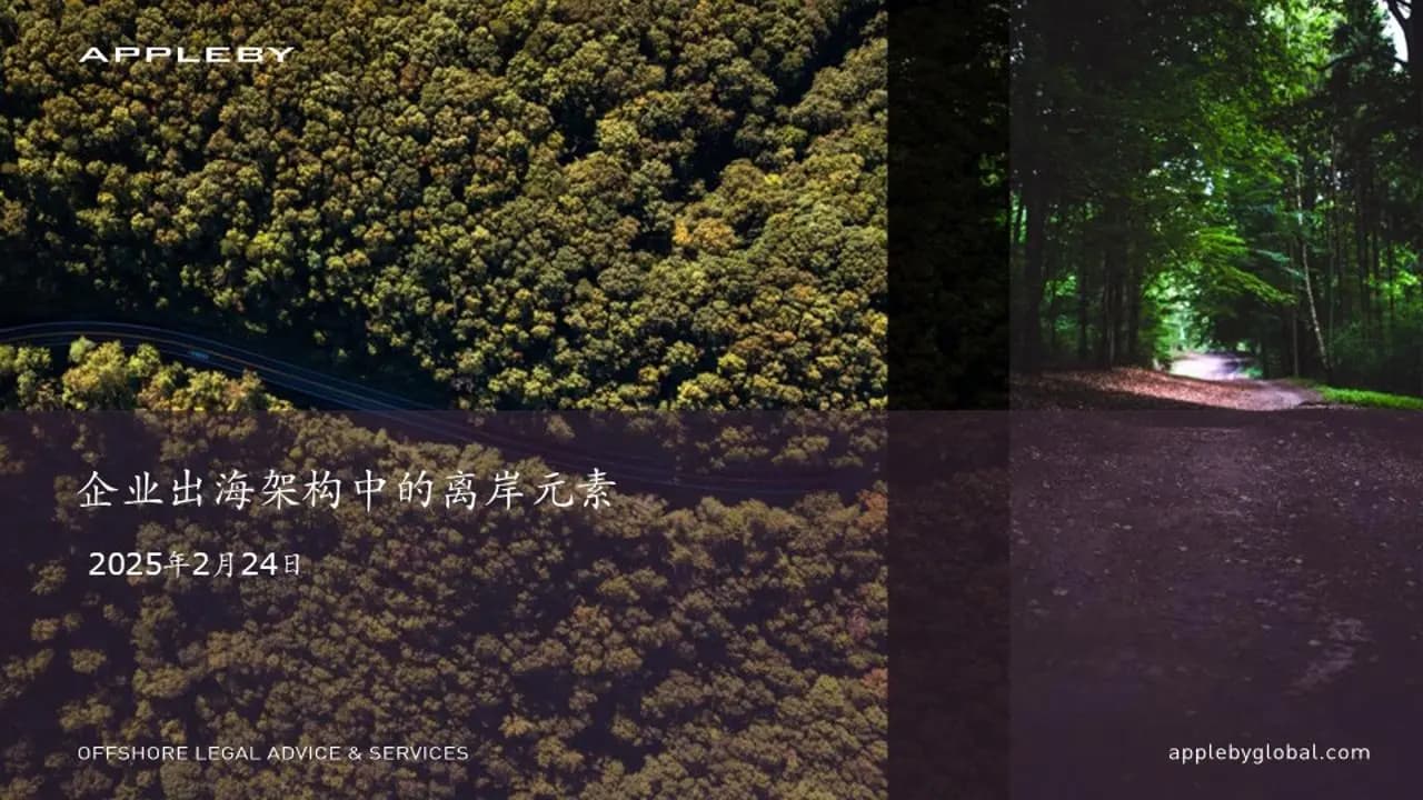 Offshore Elements in Global Business Structures: Legal Strategies for Expansion